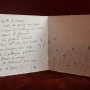daniel leuwers irene boisaubert cles et flocons de neige