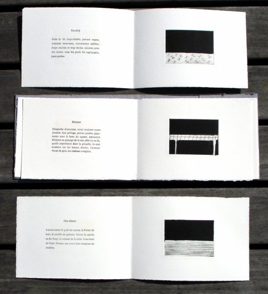 gris dehors  texte estampes 14 8x21 cm 1997 gris dehors  texte estampes 14 8x21 cm 1997