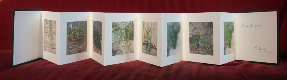 livre fleurs de pav   livre 1 15x15 photos num  riques sur papier japon 1