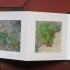 livre fleurs de pav   livre 1 15x15 photos num  riques sur papier japon 4