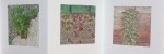 livre fleurs de pav   livre 2 15x15 photos num  riques sur papier japon 3