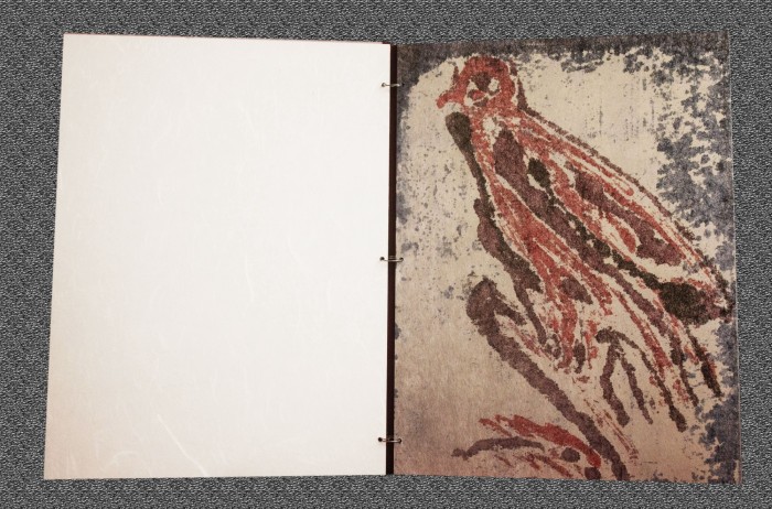 oiseaux impression numerique sur aluminium 31cm x 23 cm 2021 2 fond texture oiseaux impression numerique sur aluminium 31cm x 23 cm 2021 2 fond texture