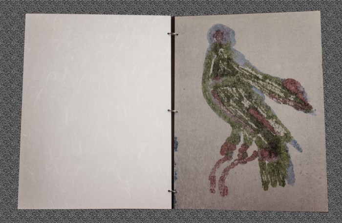 oiseaux impression numerique sur aluminium 31cm x 23 cm 2021 3 texture oiseaux impression numerique sur aluminium 31cm x 23 cm 2021 3 texture