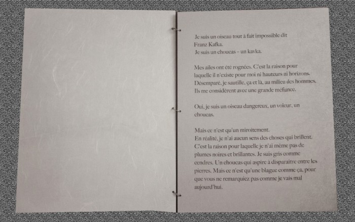 oiseaux impression numerique sur aluminium 31cm x 23 cm 2021 4.fond texture oiseaux impression numerique sur aluminium 31cm x 23 cm 2021 4.fond texture