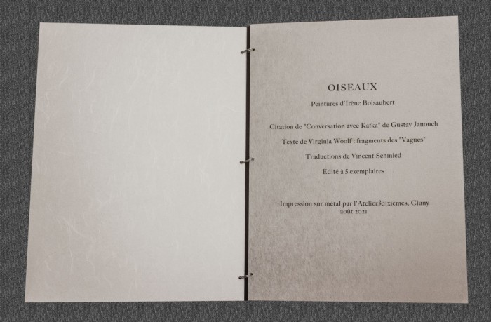 oiseaux impression numerique sur aluminium 31cm x 23 cm 2021 5 fond texture oiseaux impression numerique sur aluminium 31cm x 23 cm 2021 5 fond texture