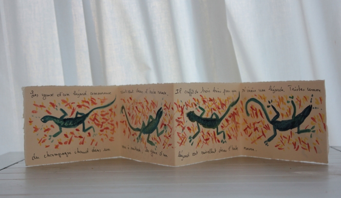 histoire de lezard livre accordeon 2010 11x65 histoire de lezard livre accordeon 2010 11x65