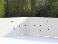 Le lait des roses  blanches