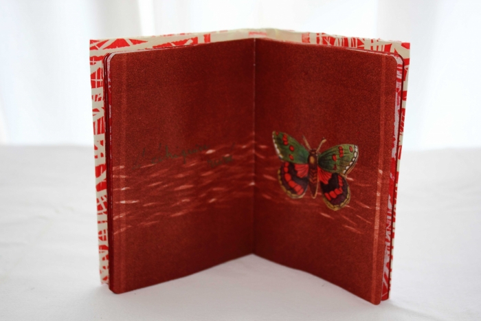 papilonacees et autres 1 linogravure et collage 11x9 2006 papilonacees et autres 1 linogravure et collage 11x9 2006