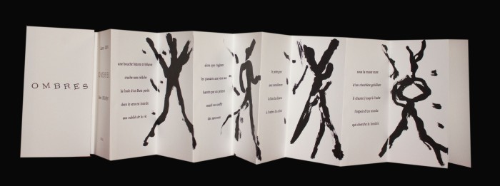 ombres texte de lauren grison typologie de laurent ne2 exemplaires 2023  