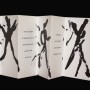 ombres texte de lauren grison typologie de laurent ne2 exemplaires 2023  
